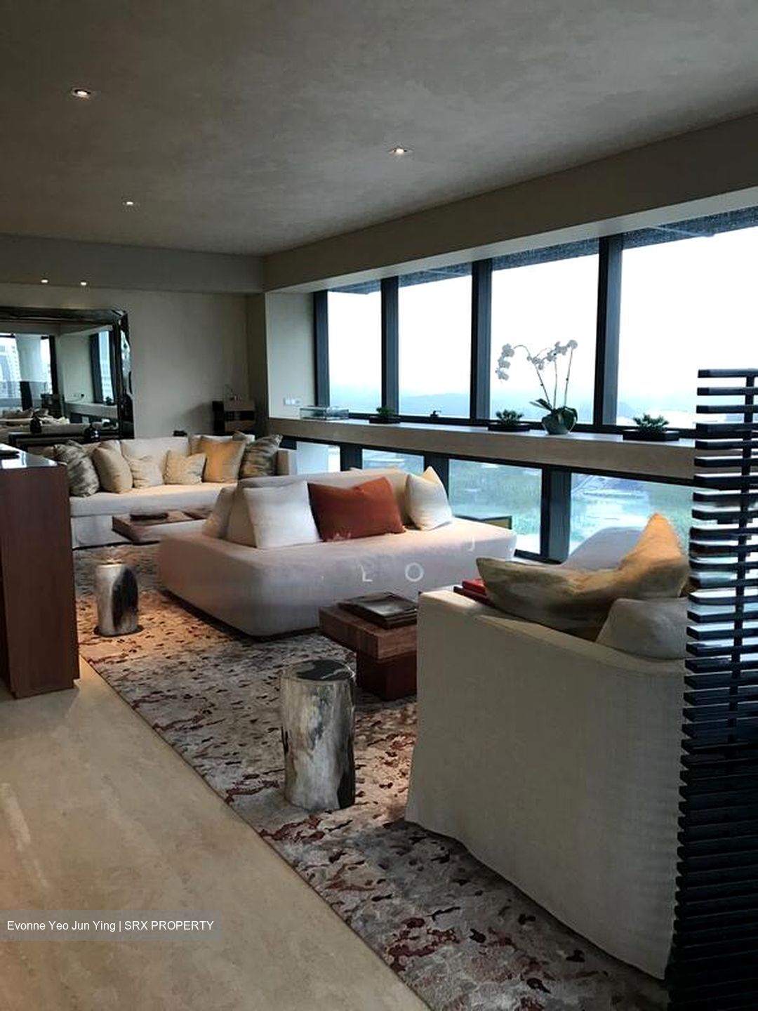 Hana (D10), Condominium #503163041